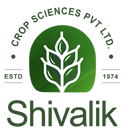 Shivalik